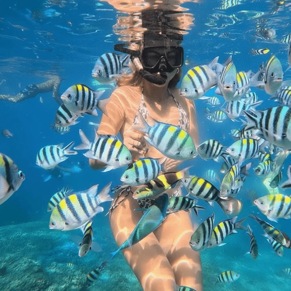 snorkeling nusa dua